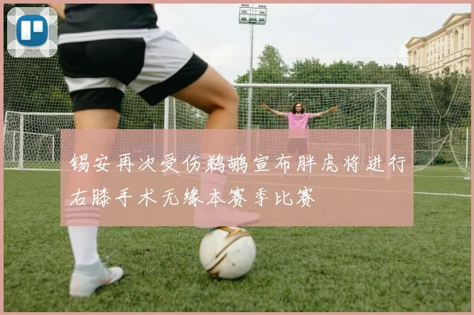 锡安再次受伤鹈鹕宣布胖虎将进行右膝手术无缘本赛季比赛
